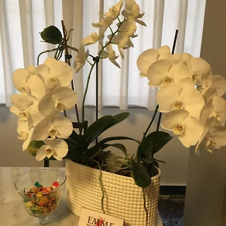 住宿加早餐酒店 Emme 墨西拿